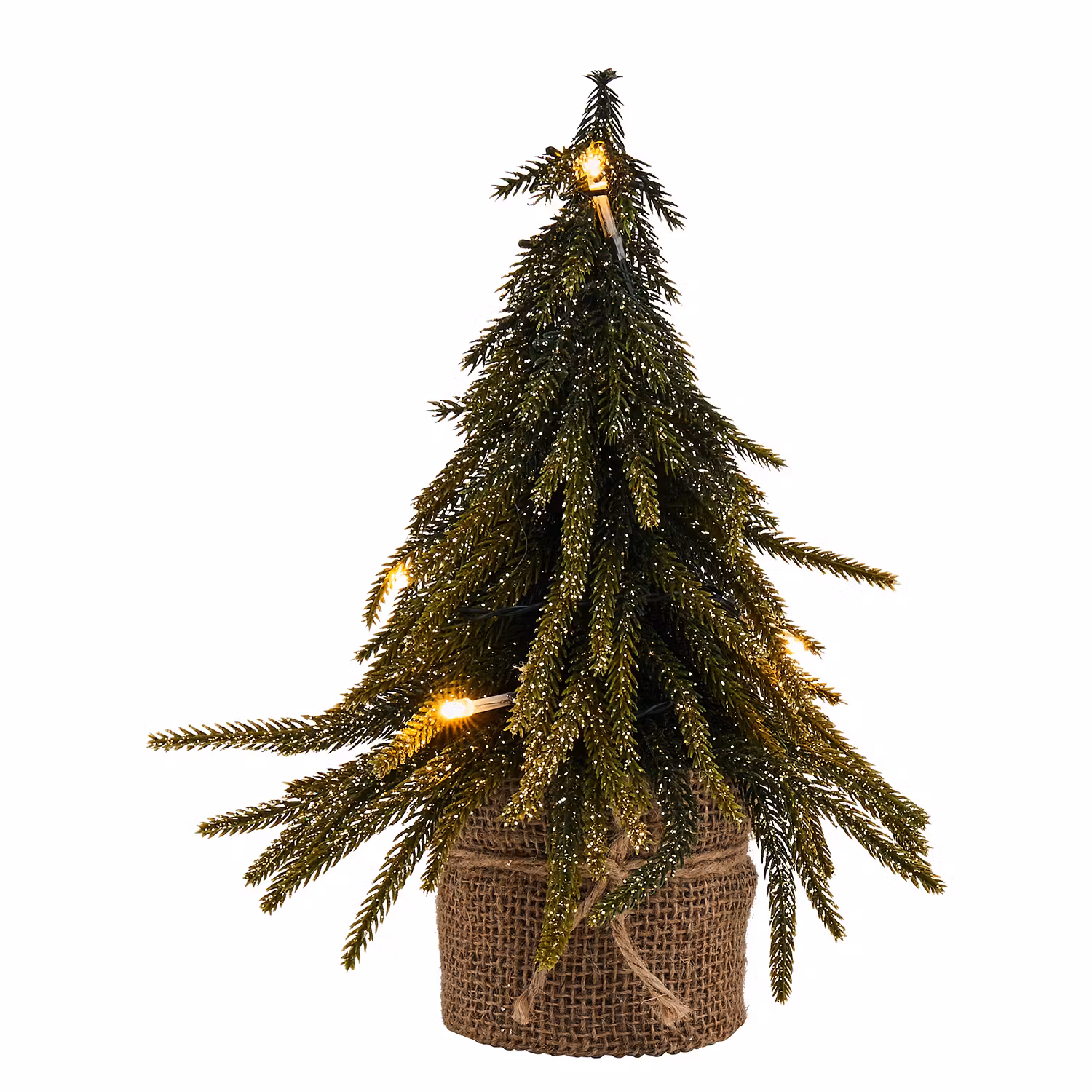 TREE OF THE MONTH Weihnachtsbaum