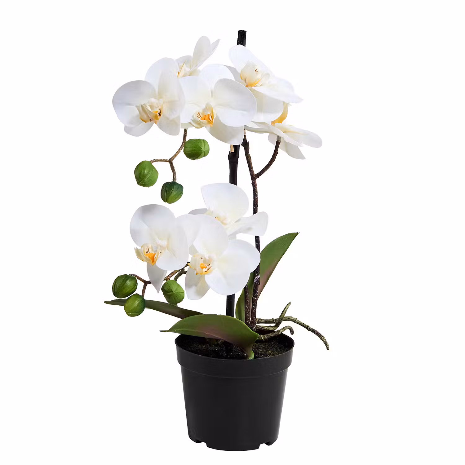 FLORISTA Kunstpflanze Orchidee 4er-Set