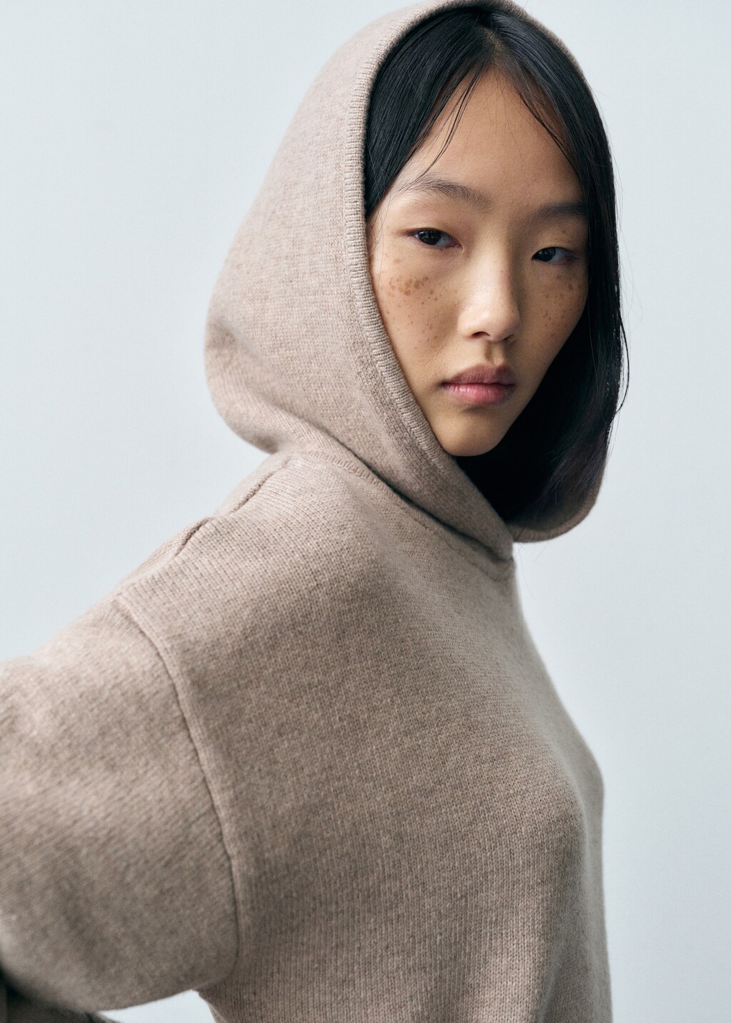 Wool-blend hooded sweater - Sand