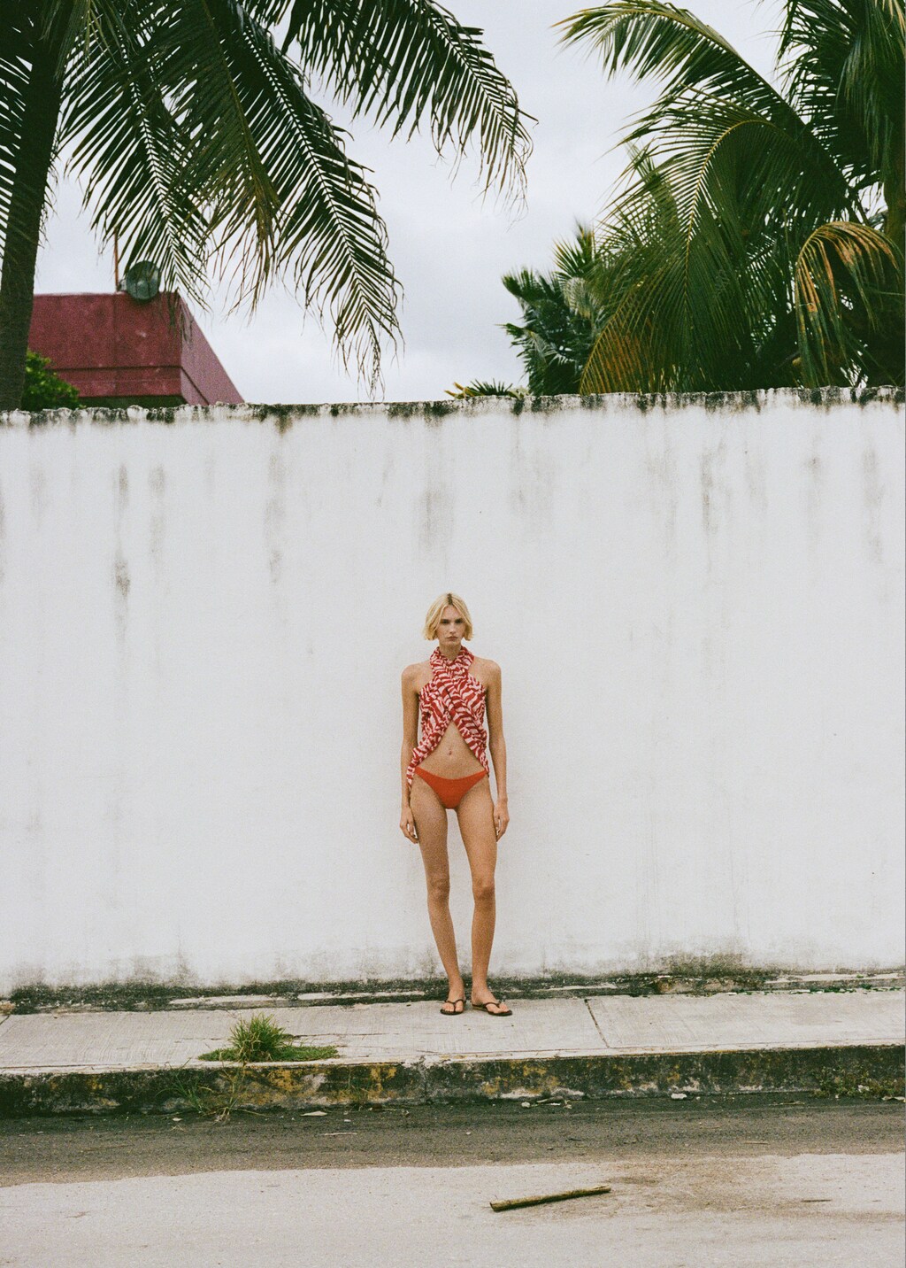 Zebra cotton blend scarf - Red