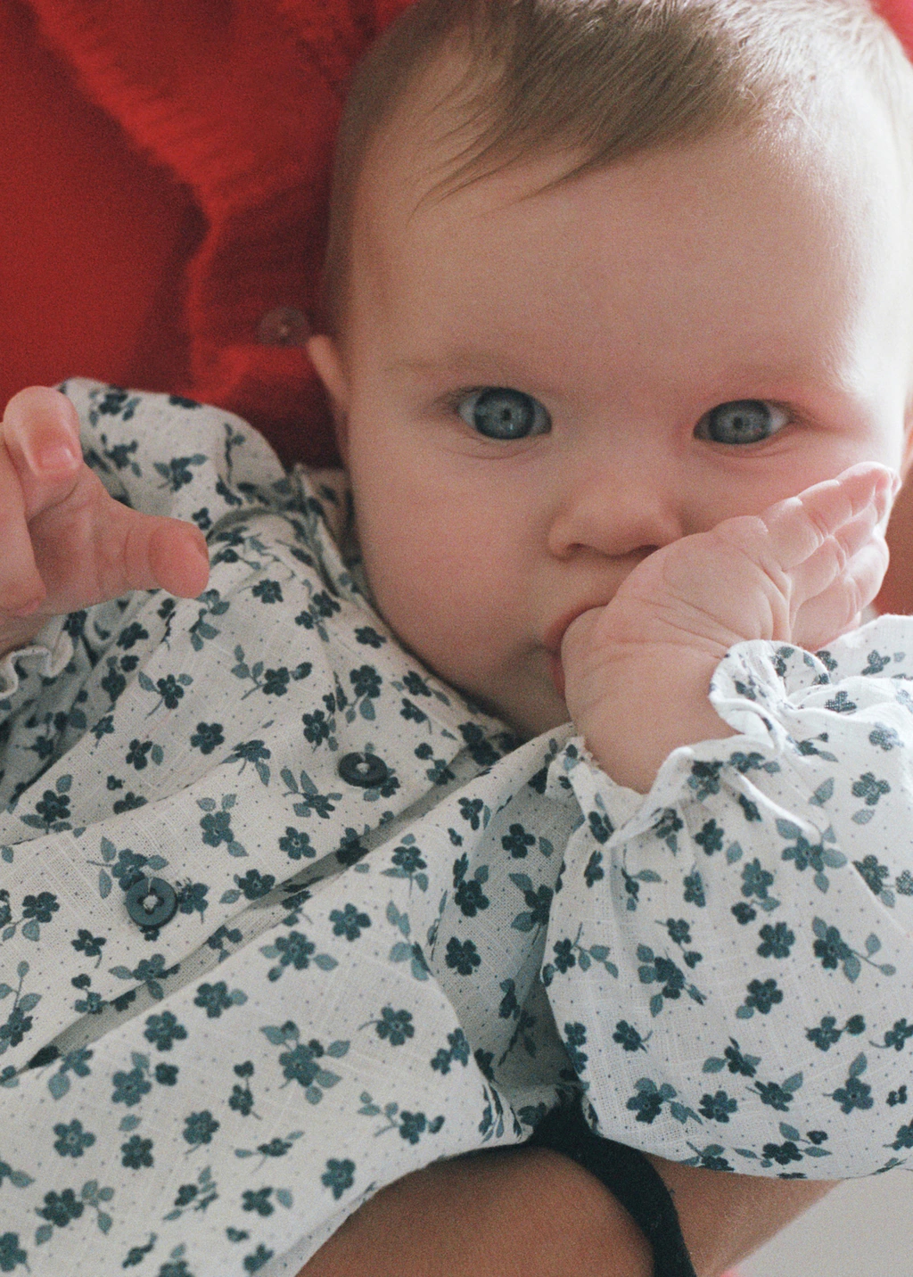 Floral-print cotton blouse - Off White