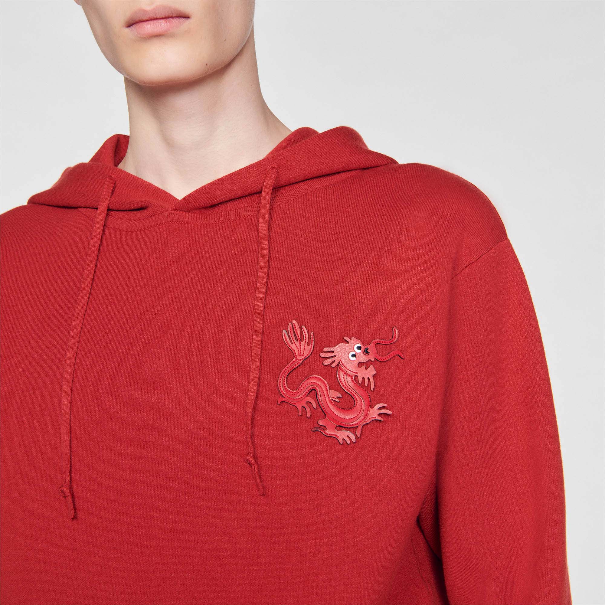 Dragon hoodie