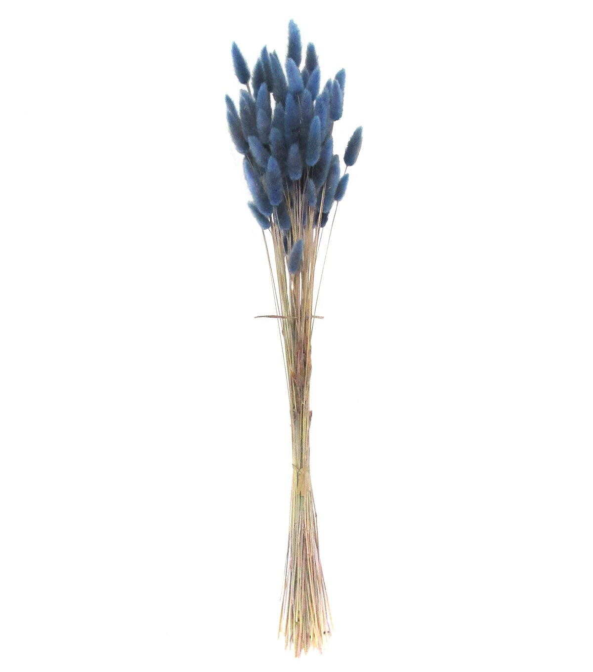 23 Blue Dried Pampas Grass Bouquet by Bloom Room