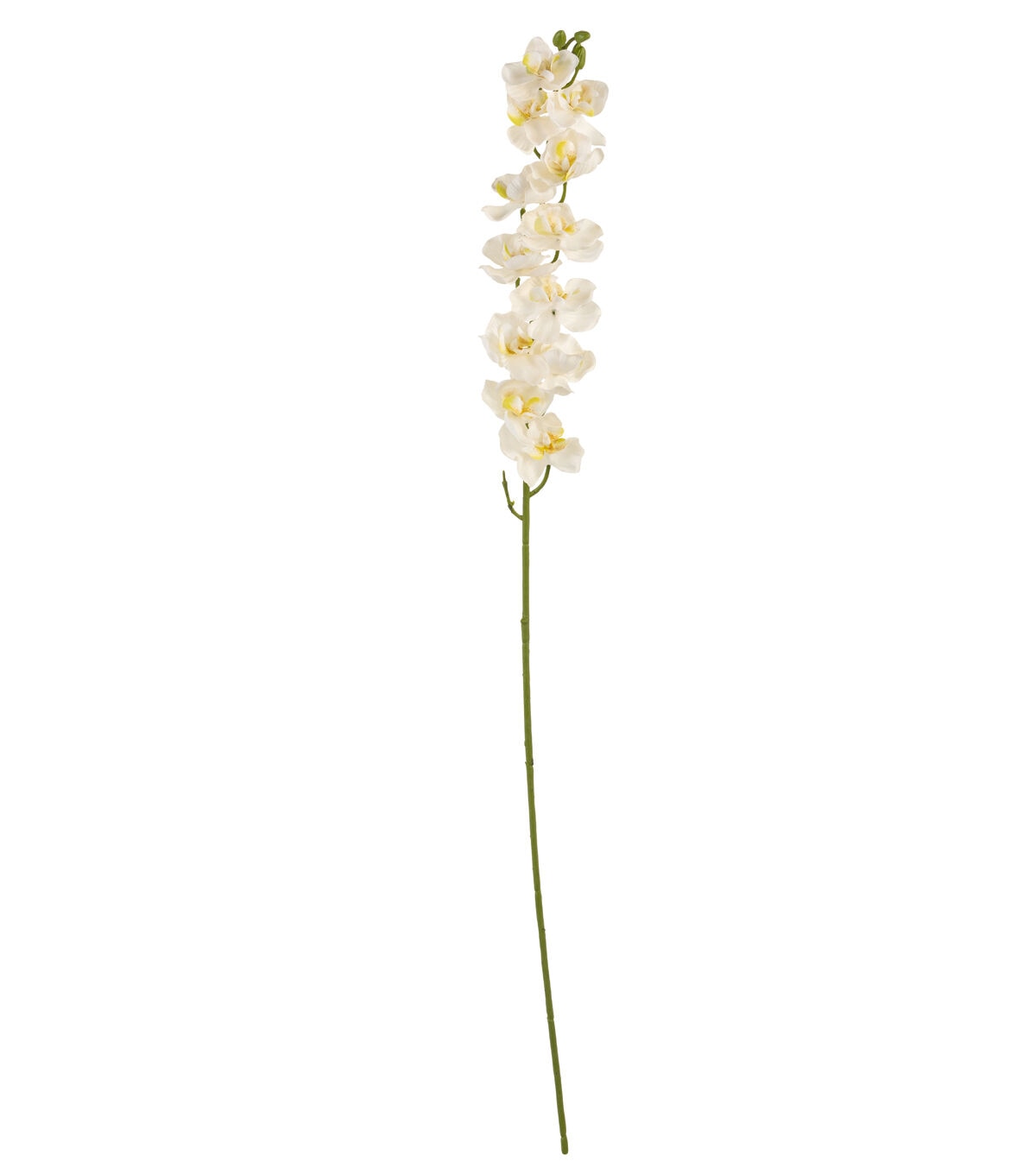 28.5 White Orchid Stem by Bloom Room