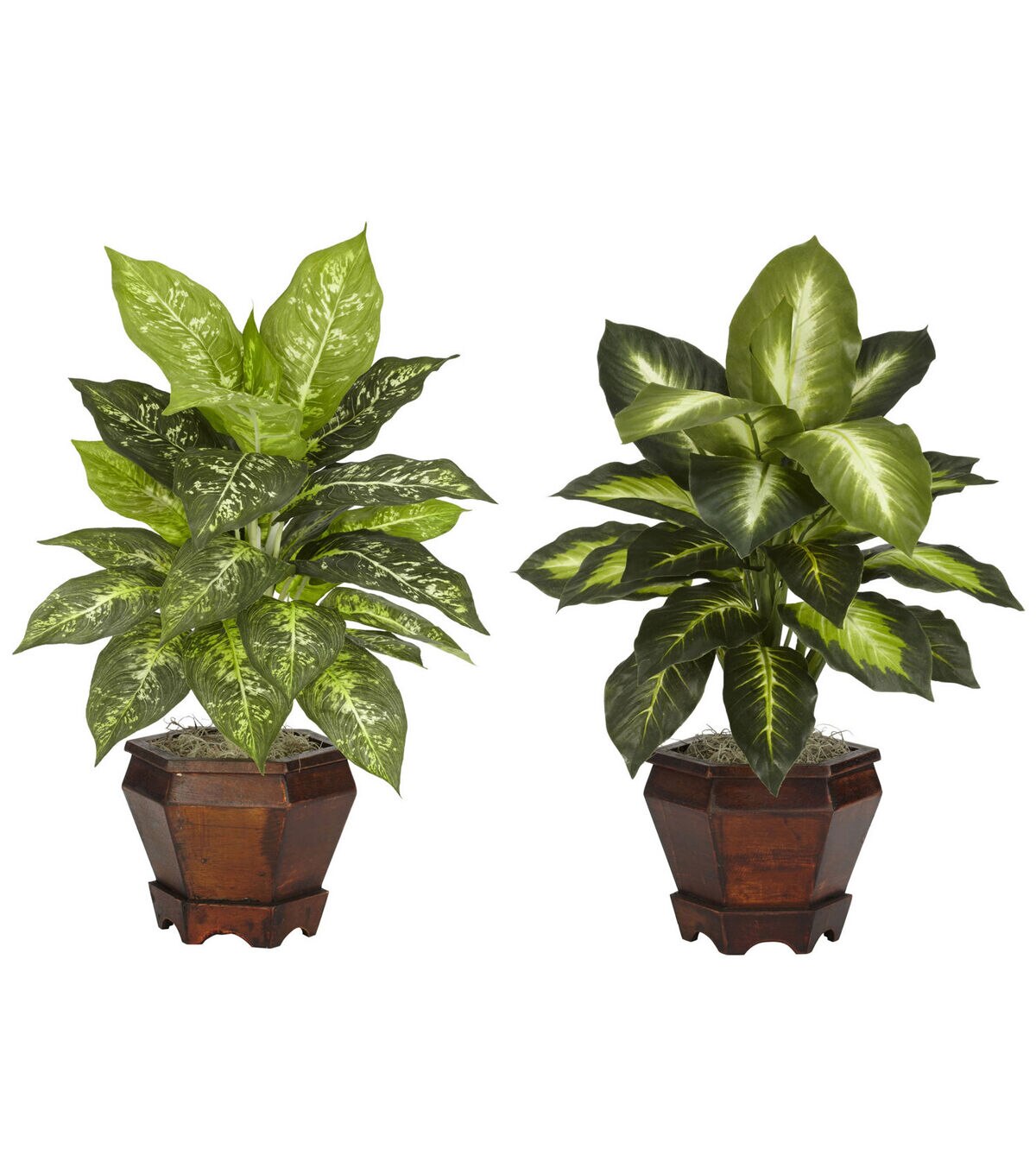 Nearly Natural 20.5 Dieffenbachia With Wood Vase Silk Plant 2ct