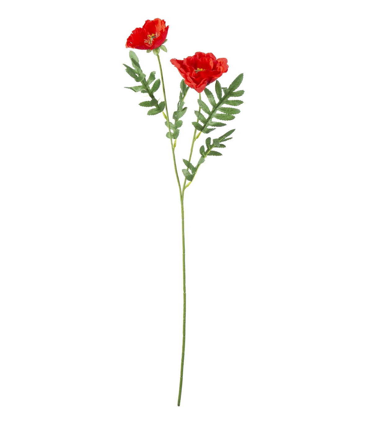 31 Red Poppy Stem by Bloom Room