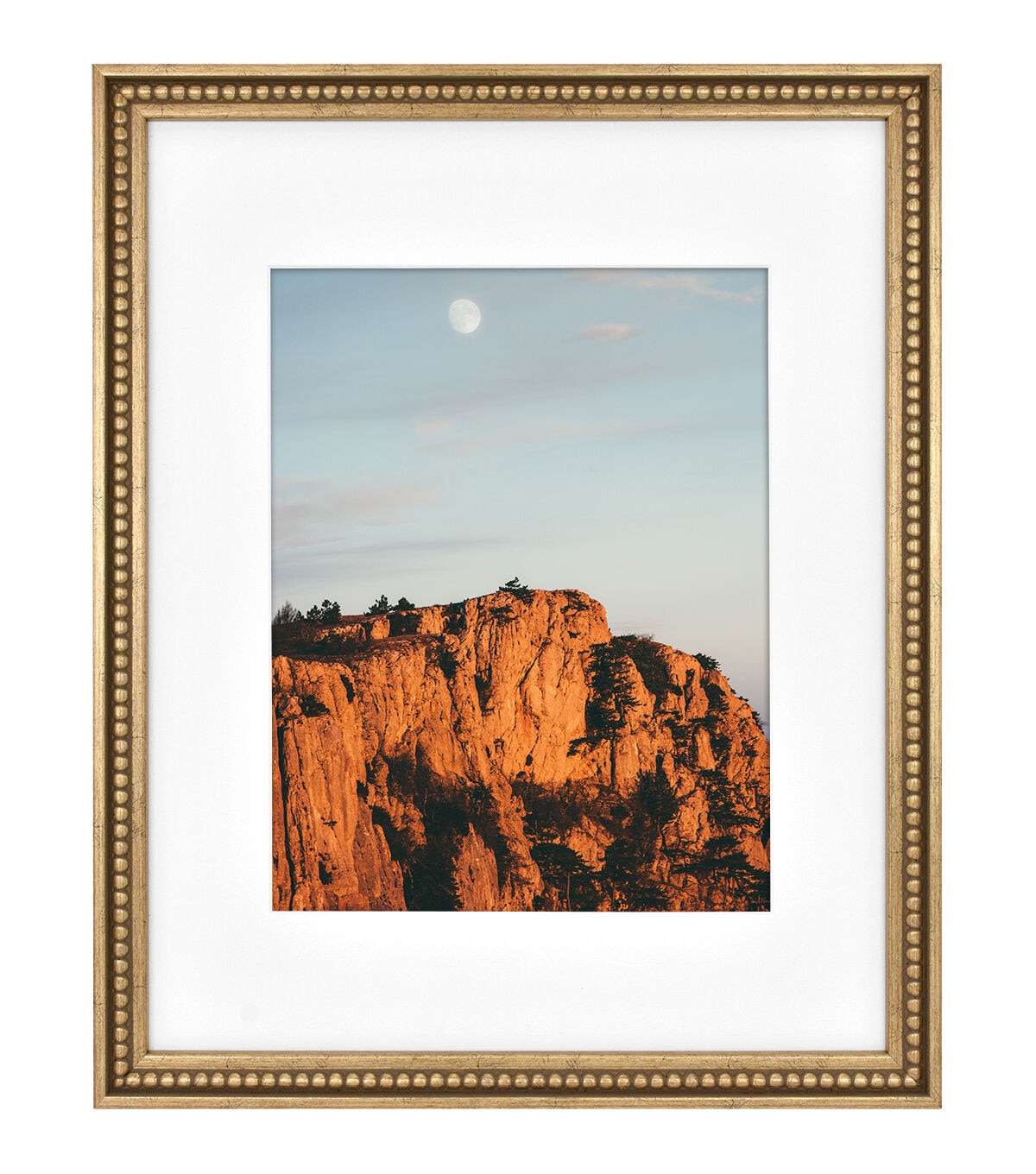 MCS 16x20 Matted to 11x14 Gold Bead Wall Frame