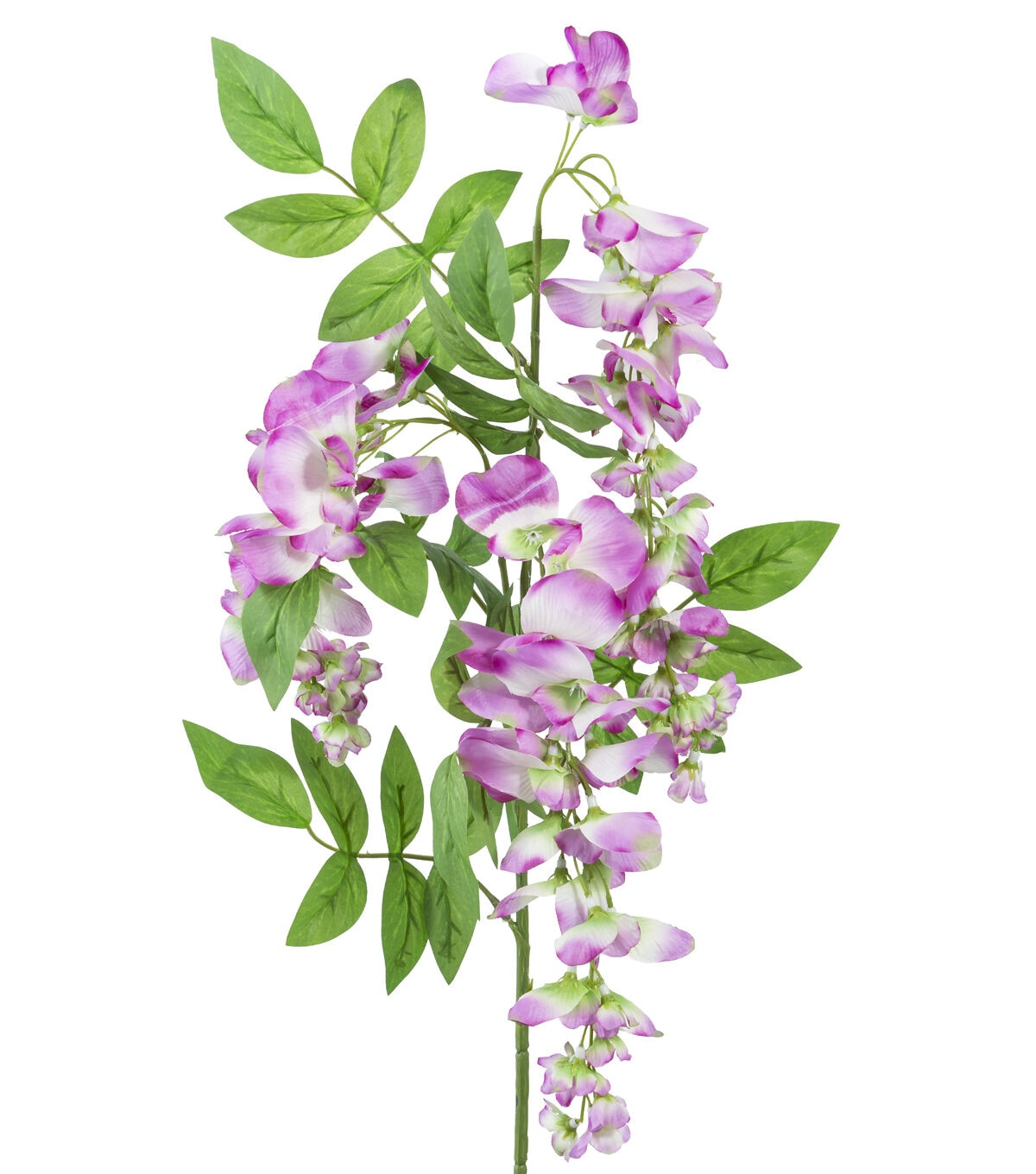 29 Purple Wisteria Stem by Bloom Room