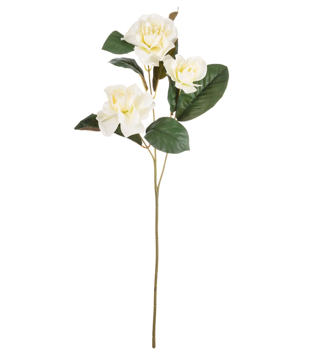 24.5 White Magnolia Stem by Bloom Room