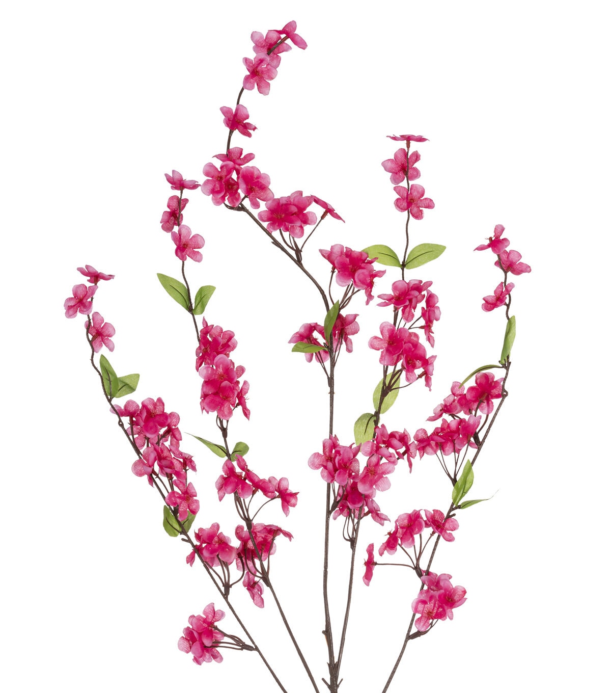 42 Pink Cherry Blossom Stem by Bloom Room