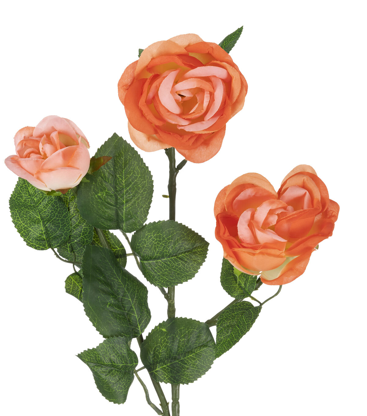 31 Peach Cabbage Rose Stem by Bloom Room
