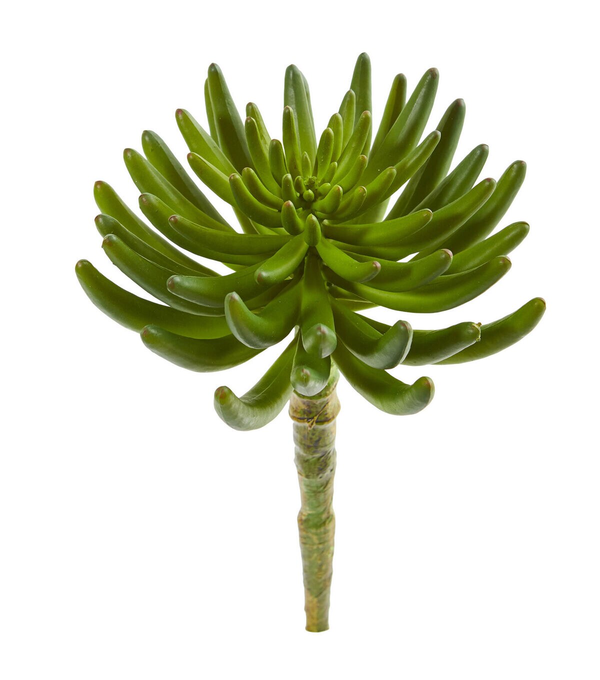 Nearly Natural 12 Artificial Succulent Plants 6ct