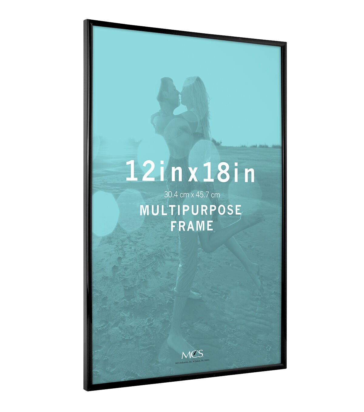 MCS Industries Single Image Multipurpose Frame 12'' x 18'' Black
