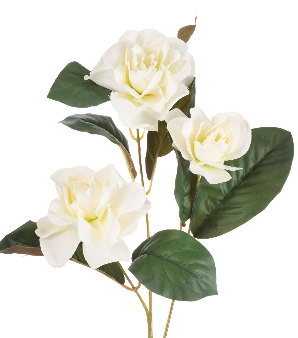 24.5 White Magnolia Stem by Bloom Room