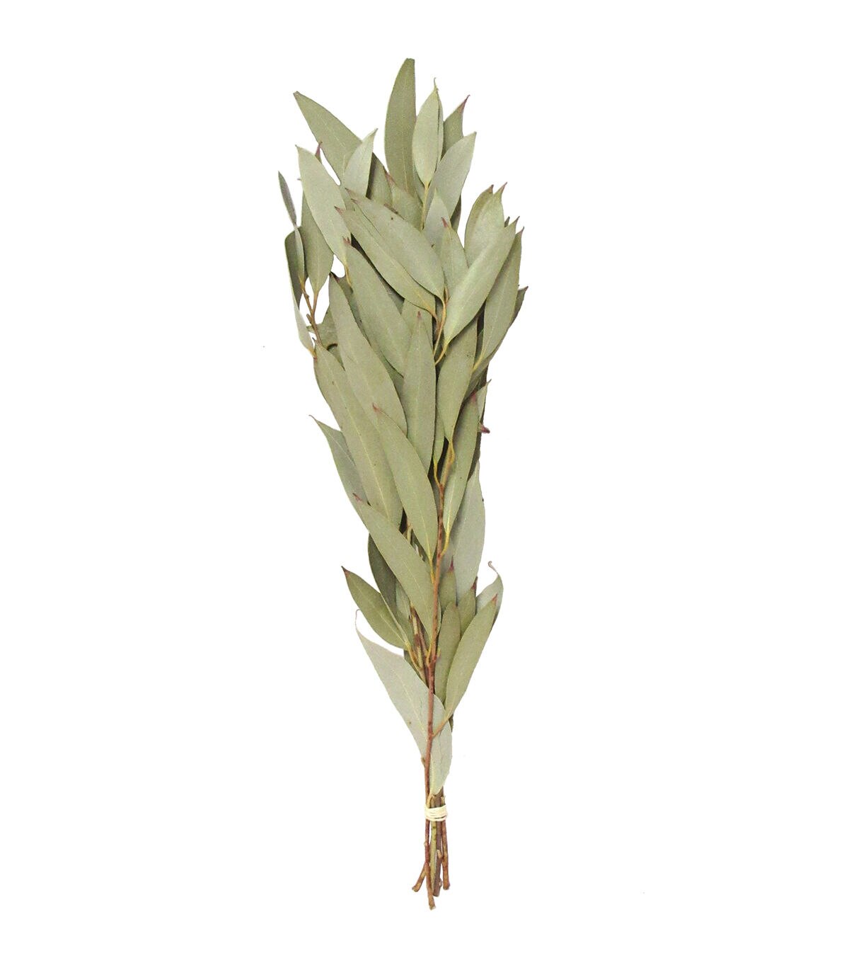 19 Sulphured Amber Dried Foliage Bouquet by Bloom Room