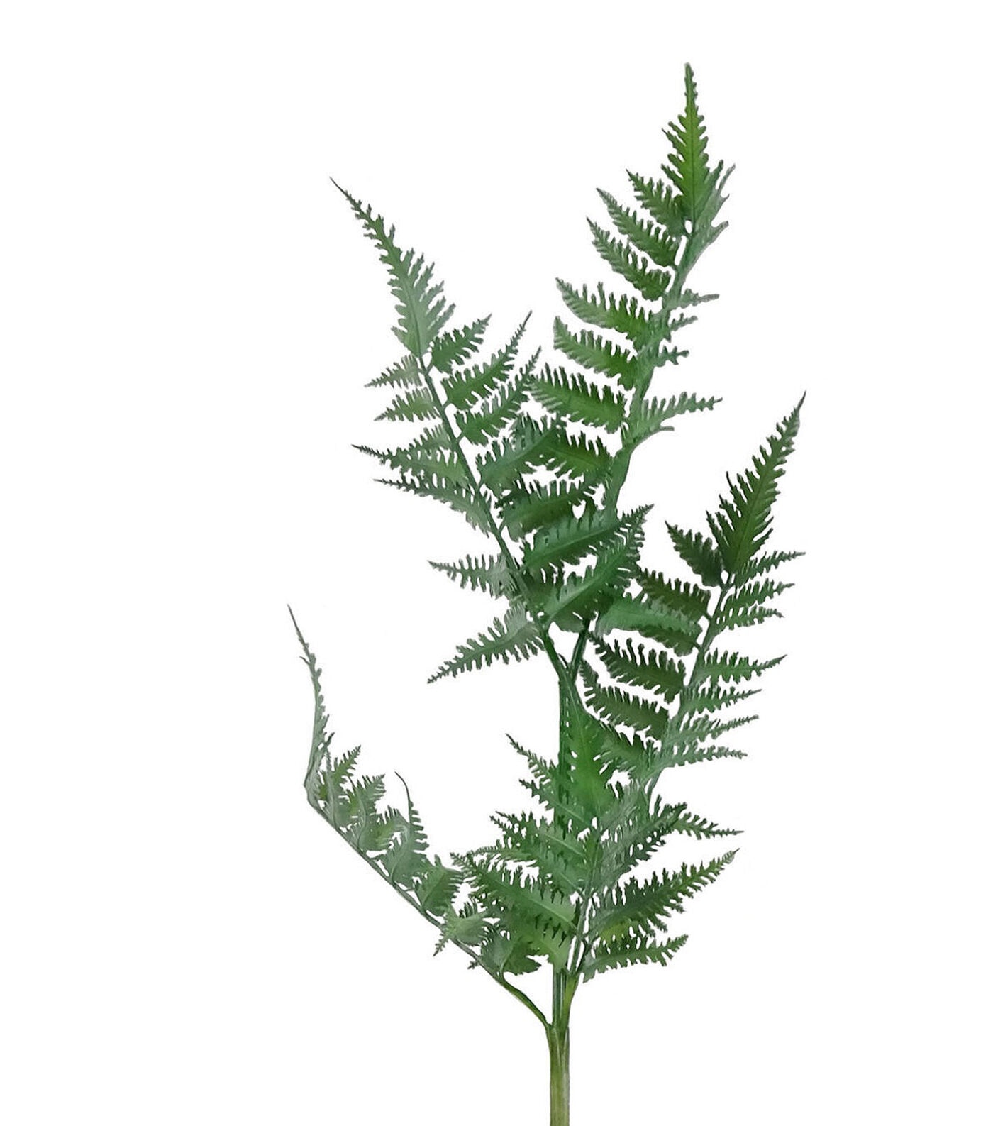 37 Green Faux Fern Stem by Bloom Room