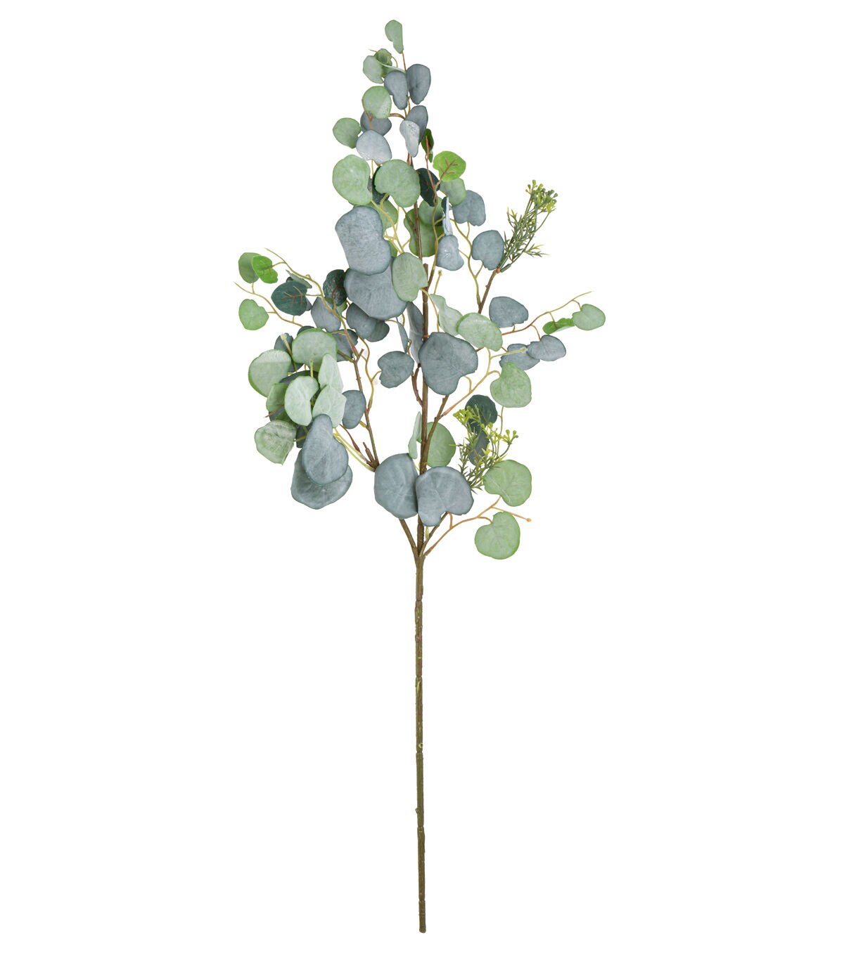 32 Green Eucalyptus Stem by Bloom Room