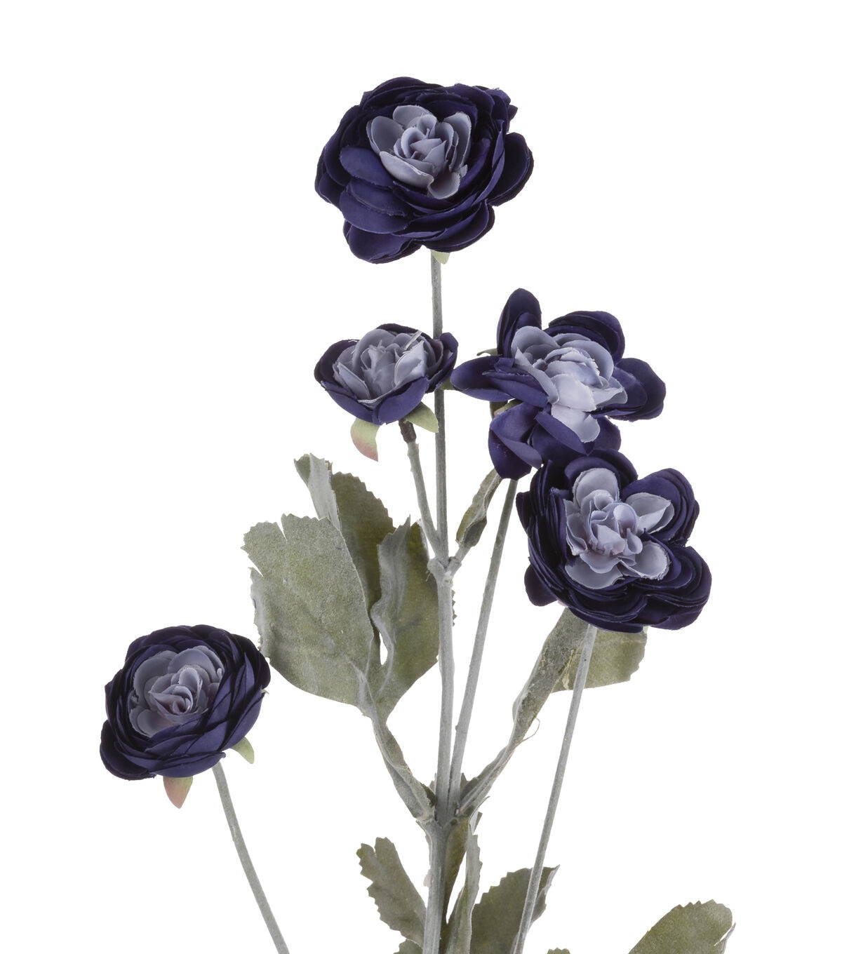 27 Denim Blue Ranunculus Stem by Bloom Room