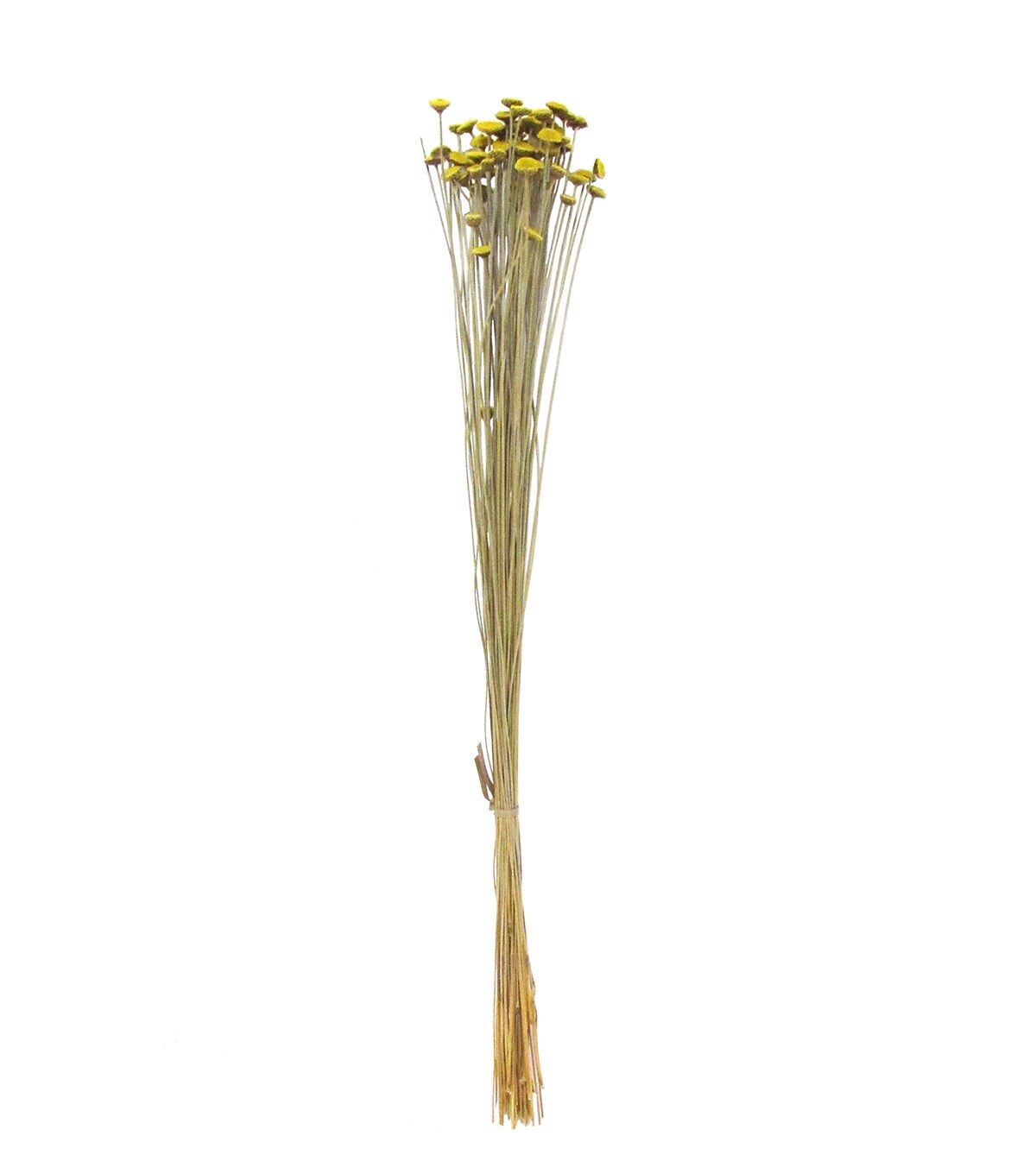 21 Golden Rod Dried Bouquet by Bloom Room