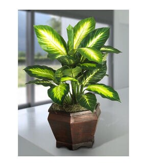 Nearly Natural Golden Dieffenbachia with Wood Vase Silk Plant