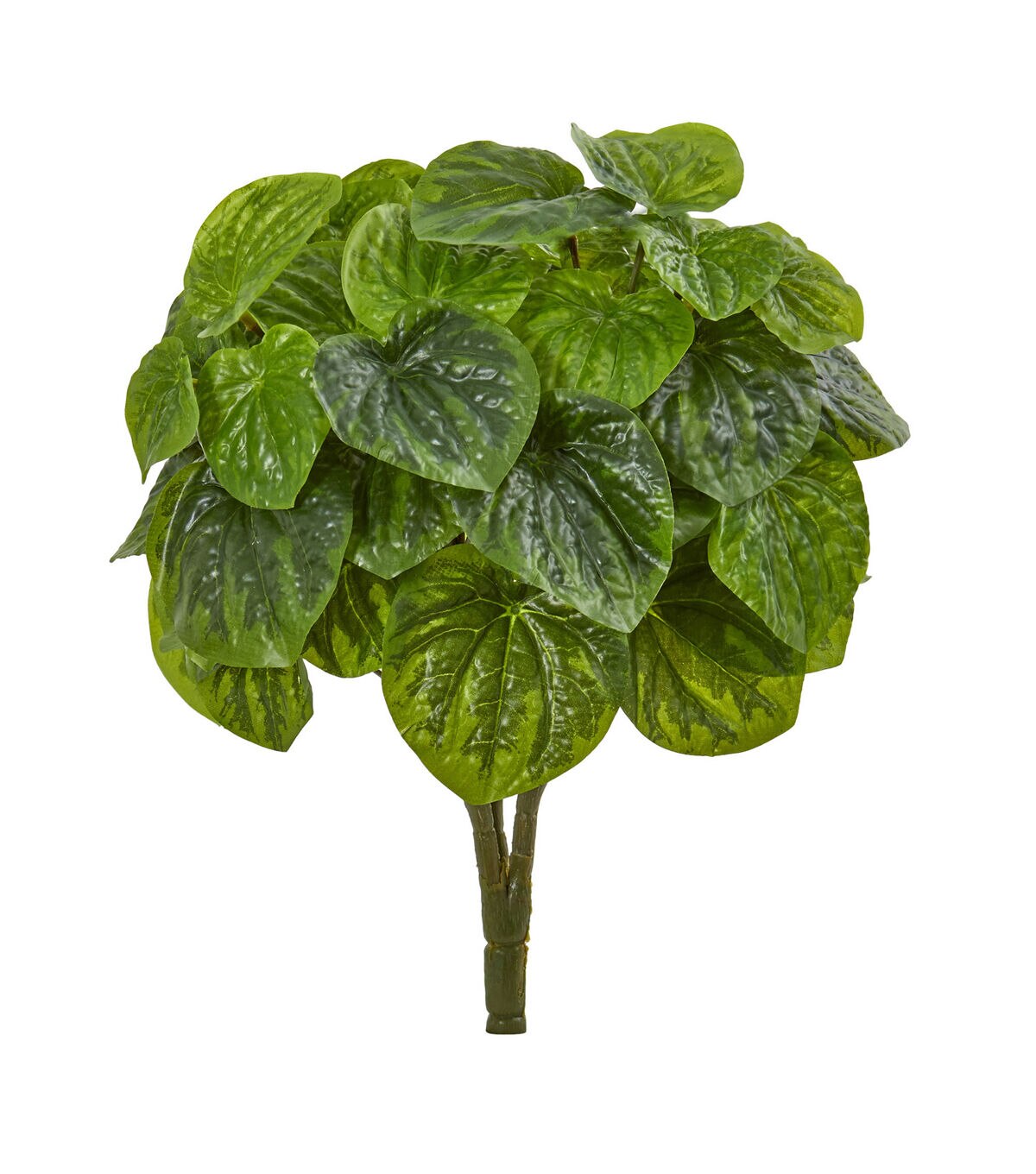 Nearly Natural 14 Real Touch Artificial Peperomia Plants 6ct