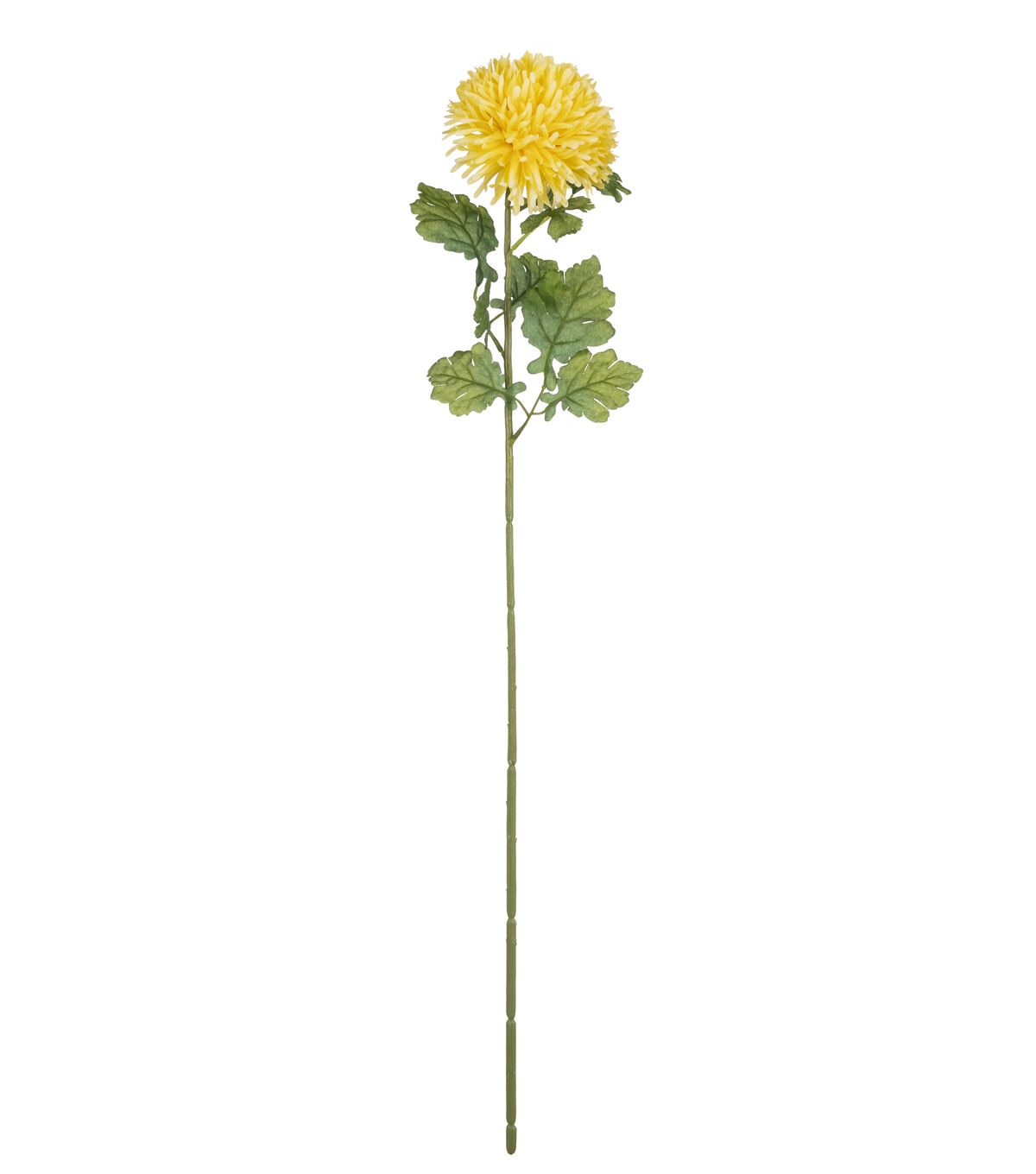 34 Yellow Ball Mum Stem by Bloom Room