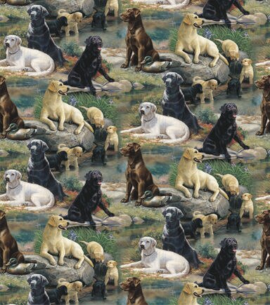 Springs Creative Best In Breed Novelty Cotton Fabric