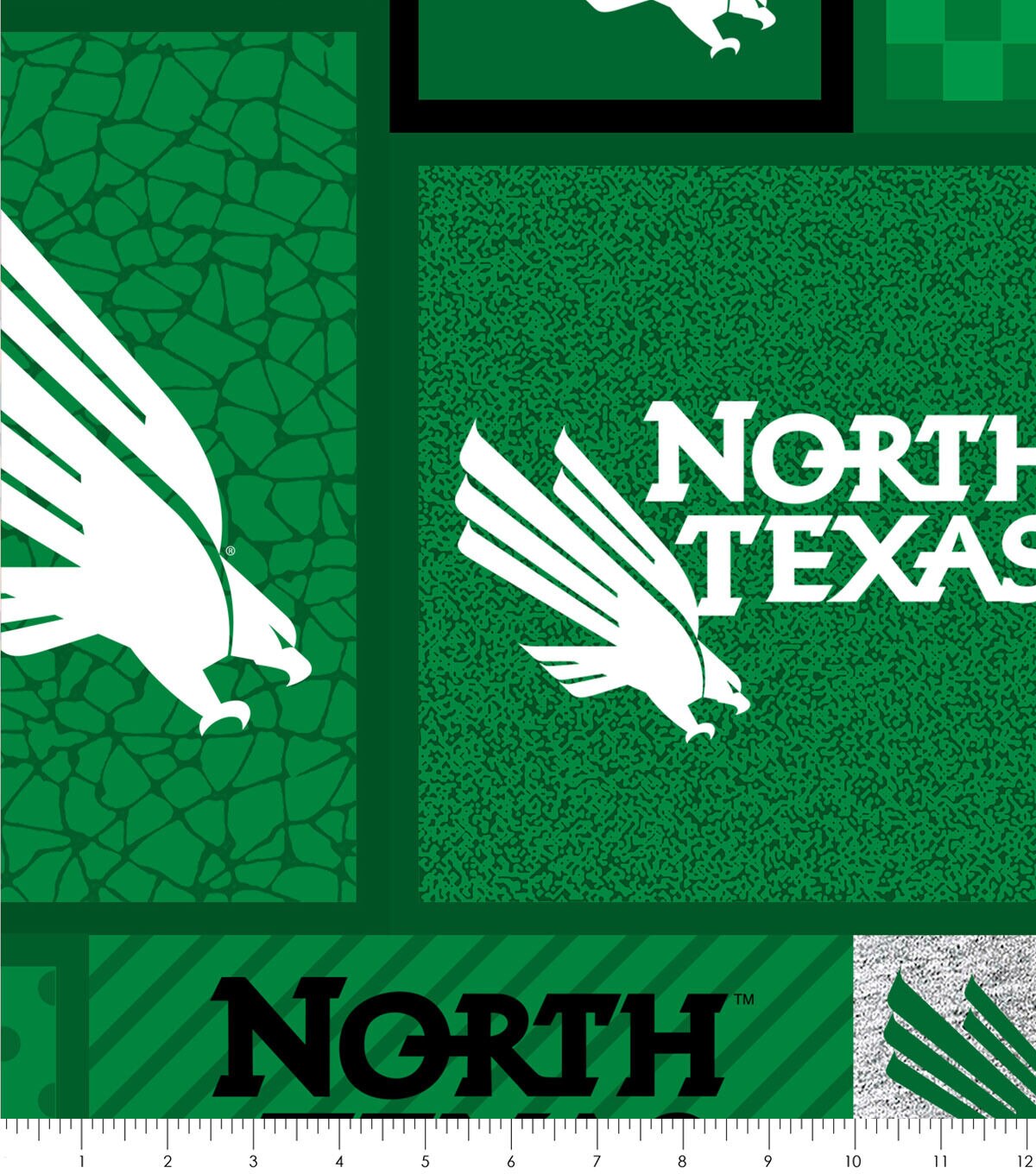 North Texas College Fleece Fabric College Patch