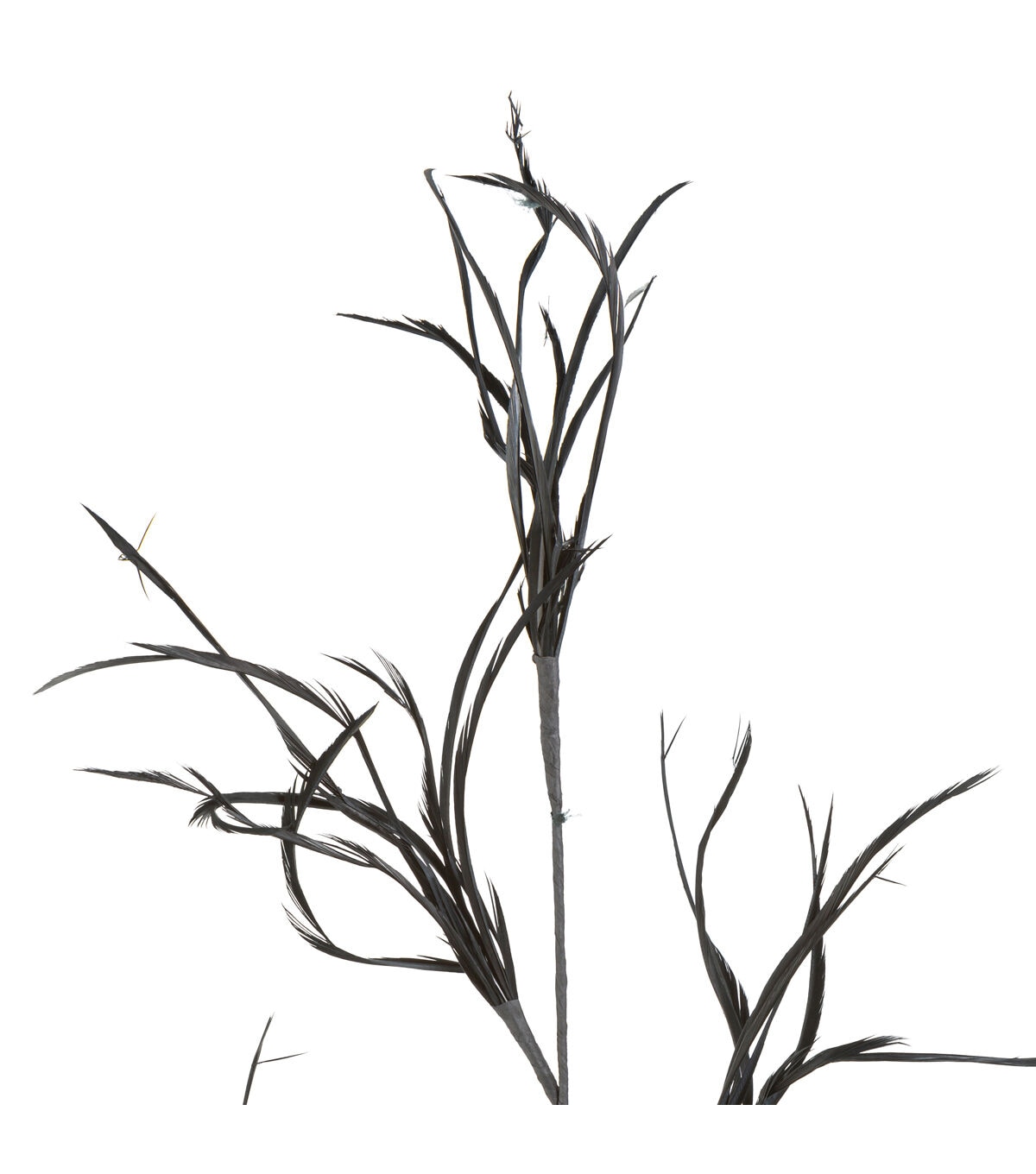 33.5 Black Goose Biot Branch Stem by Bloom Room