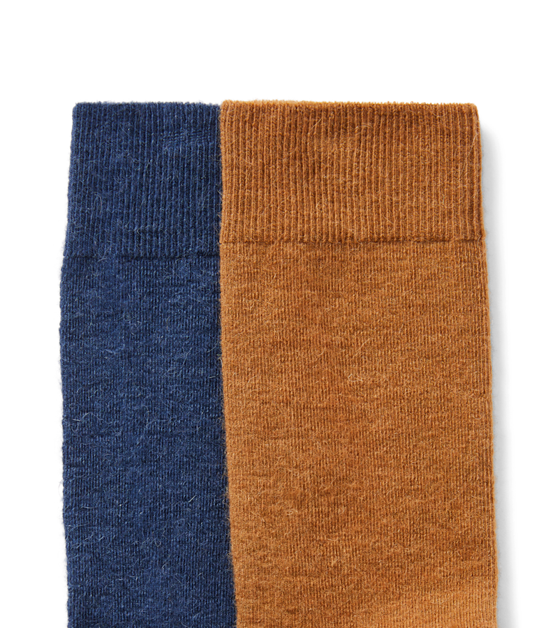Apollo sock 2 pack