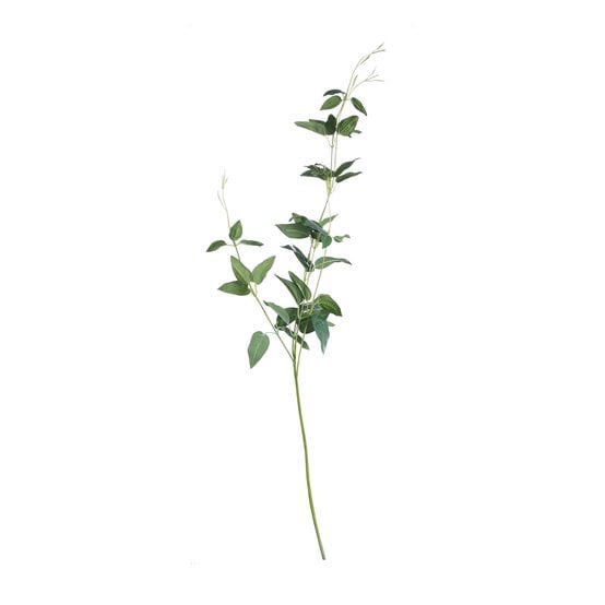 Oriental Ruscus 84cm x 14cm
