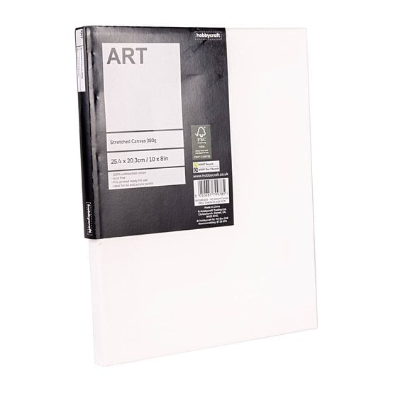 Stretched Canvas 25.4cm x 20.3cm