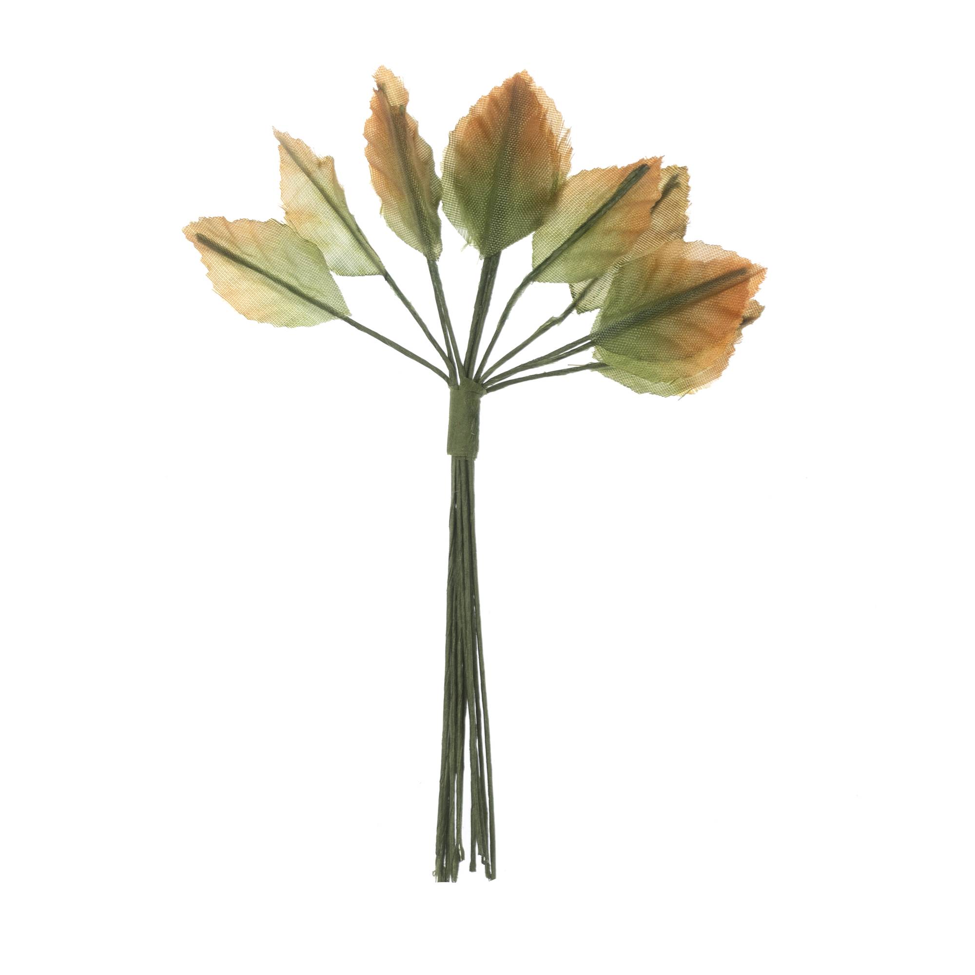 Mini Green and Orange Rose Leaves 12 Pack