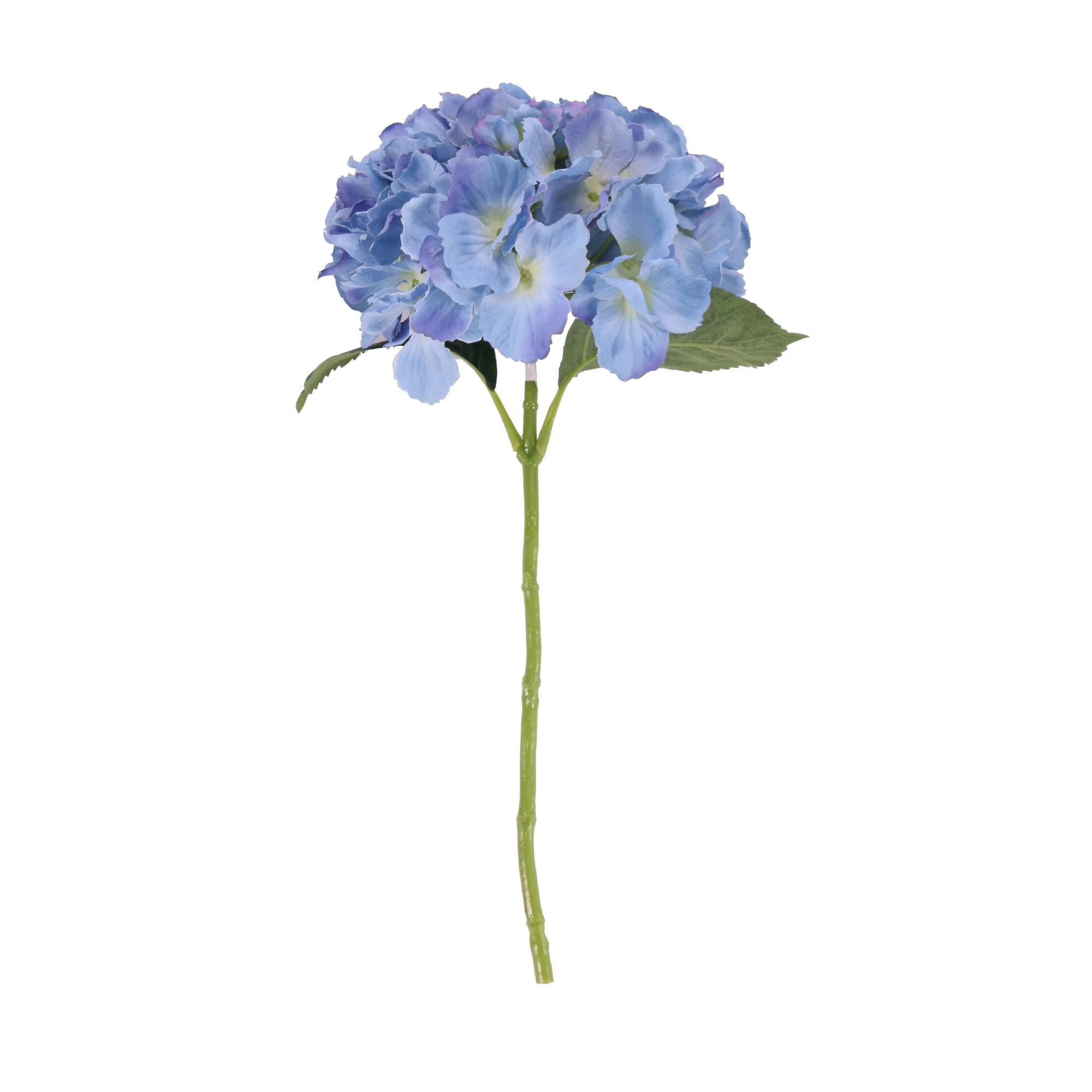 Blue Short Stem Hydrangea 40cm x 17cm