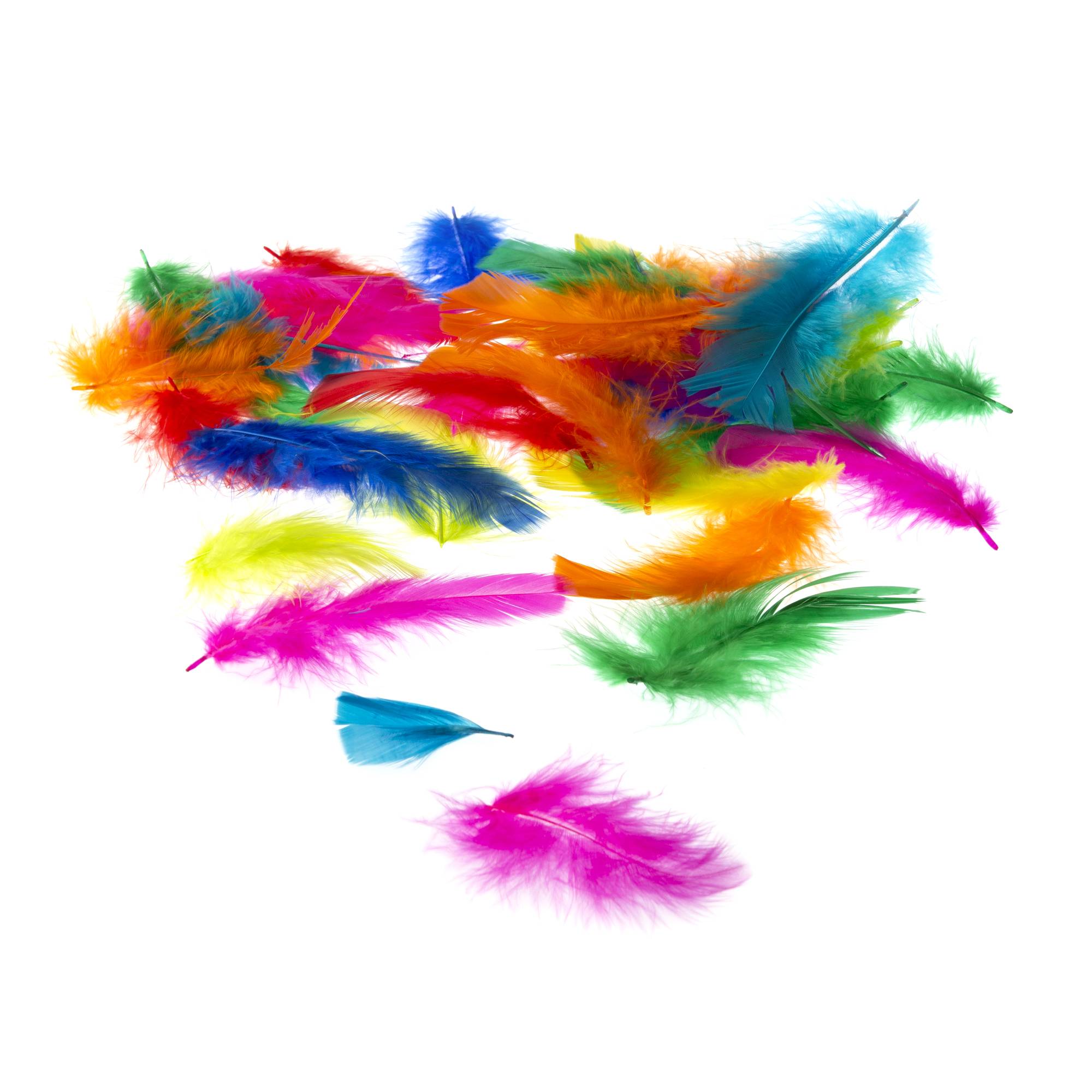 Bright Craft Feathers 5g