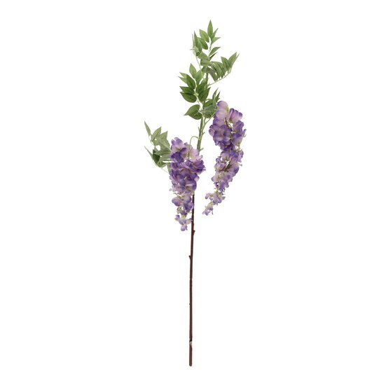 Violet Two Head Wisteria 90cm