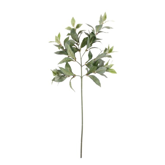 Bay Leaf Spray 73cm x 20cm