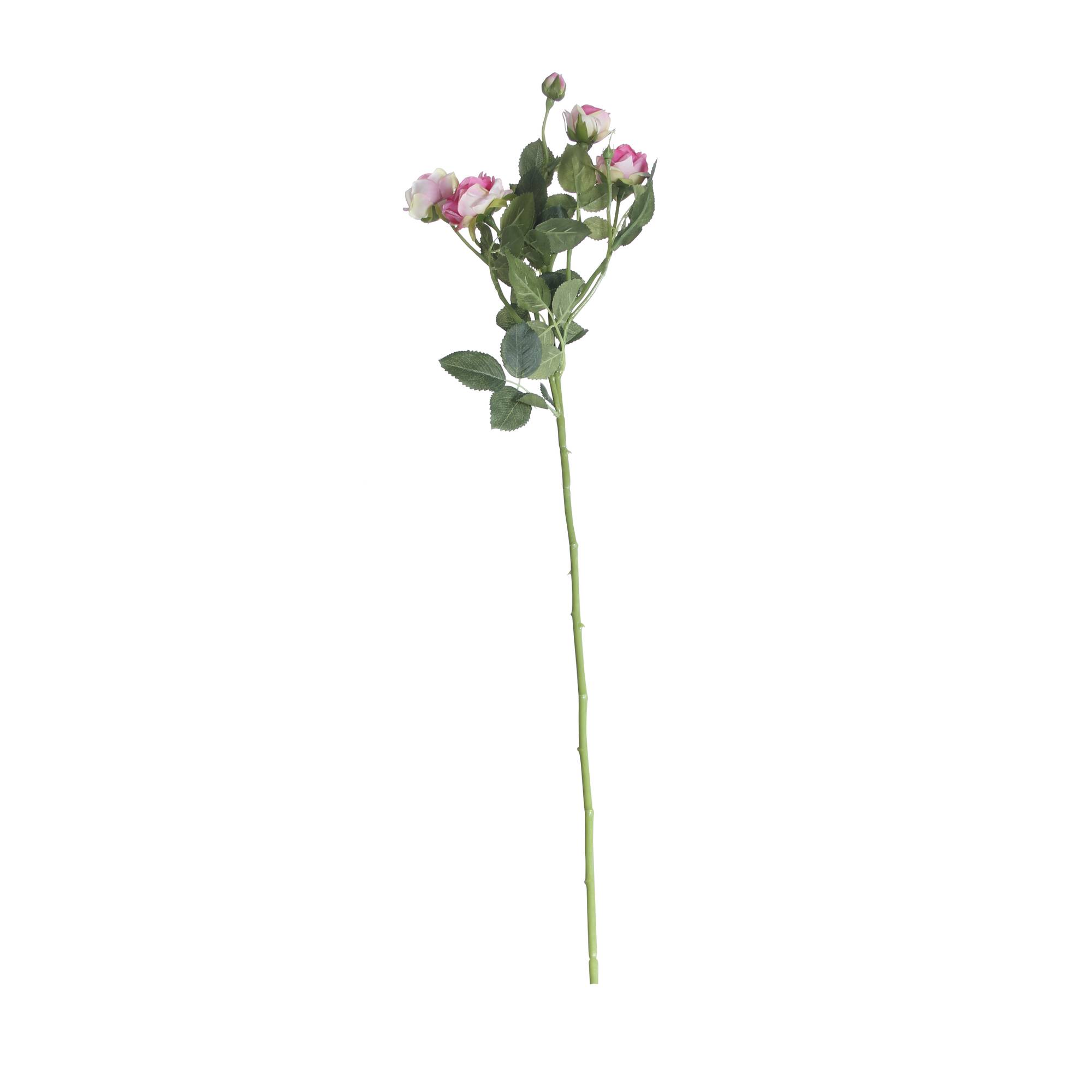 Blush Pink Camelot Garden Rose Spray 72cm x 13cm