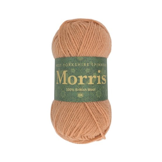 West Yorkshire Spinners Pimpernel Morris DK 50g