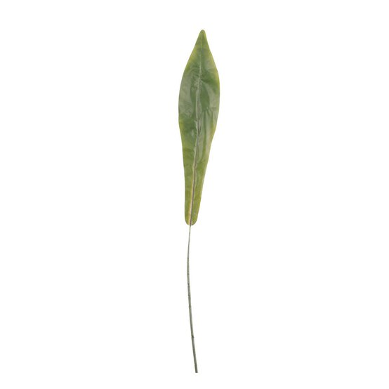 Bird Nest Fern Single Leaf 85cm x 13cm