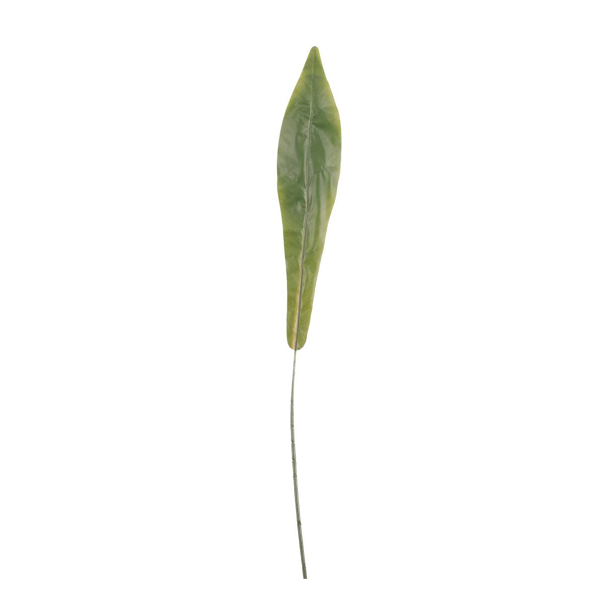 Bird Nest Fern Single Leaf 85cm x 13cm