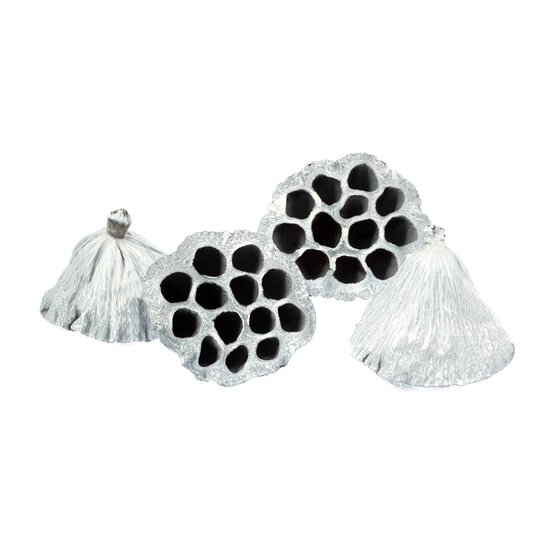 White Lotus 4 Pieces