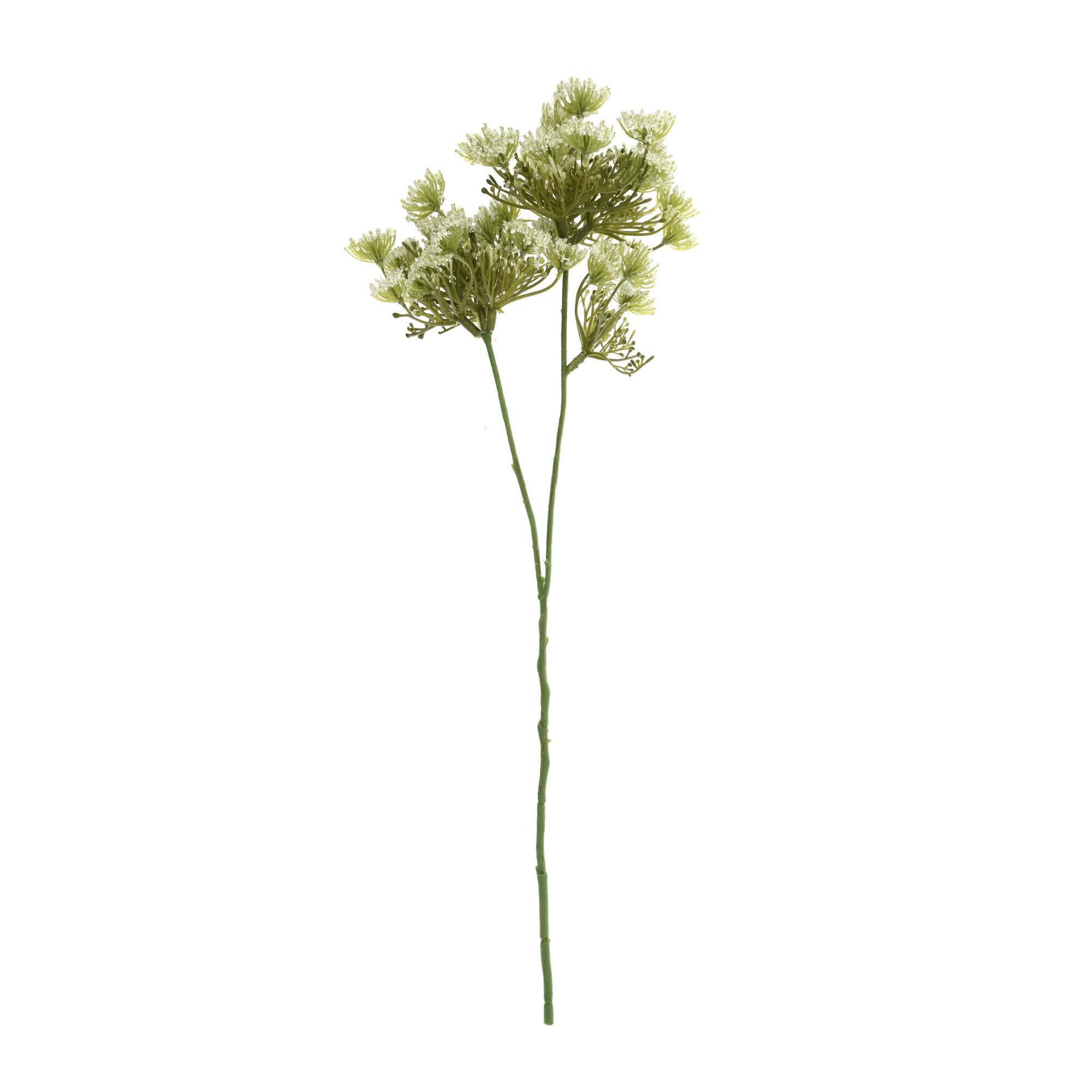 Cream Cow Parsley Stem 43cm