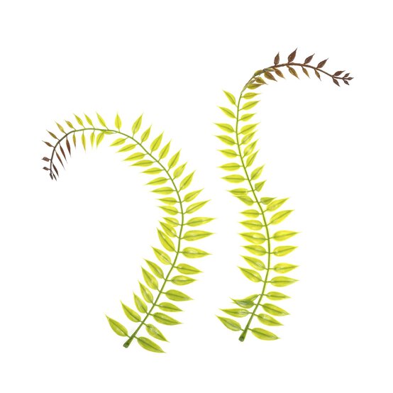 Trailing Leaves 2 Pack