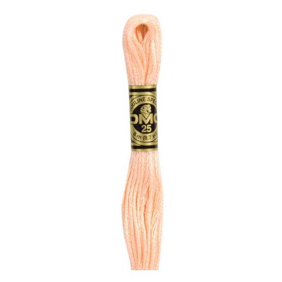 DMC Pink Mouline Special 25 Cotton Thread 8m (020)