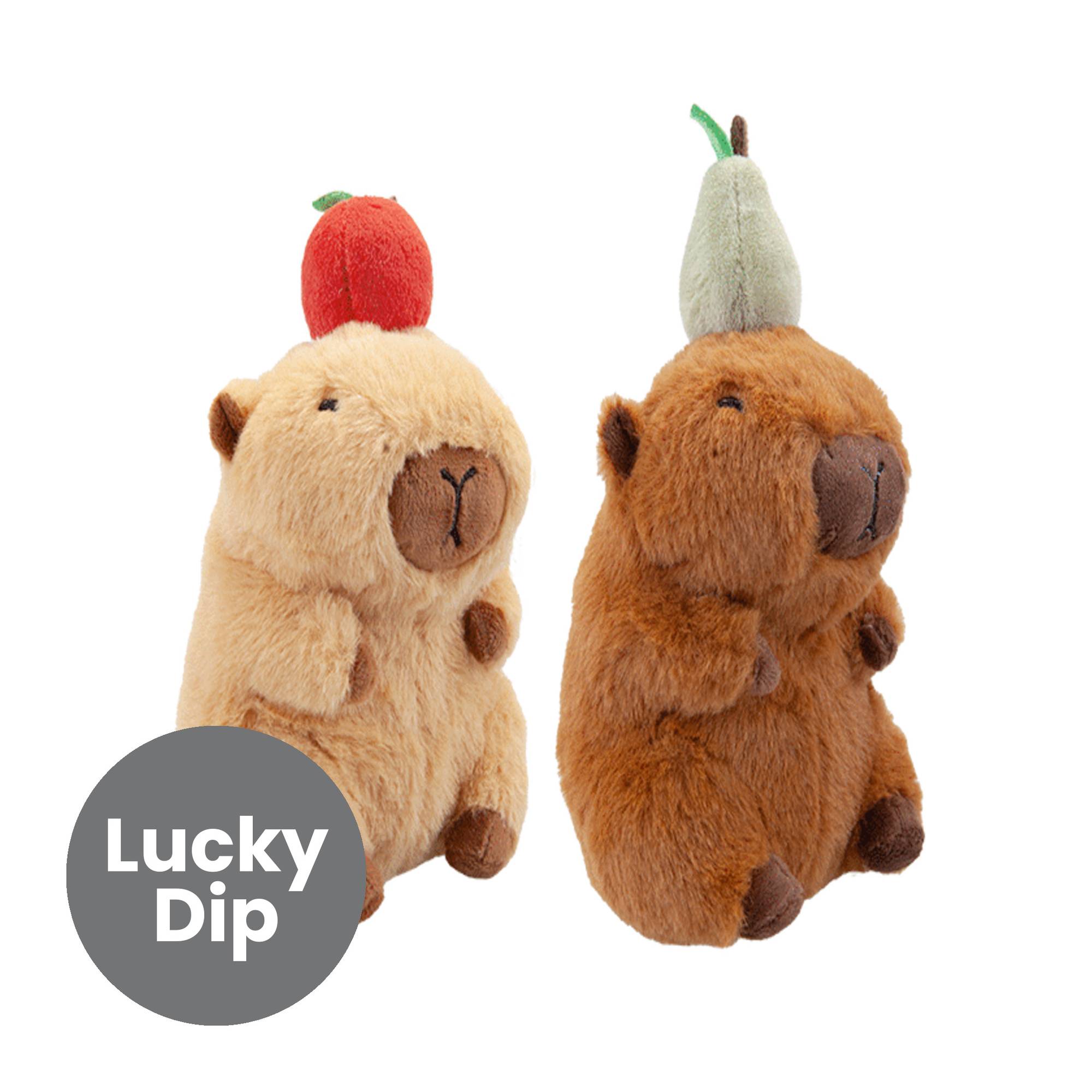 Assorted Capybara with Fruit 14cm
