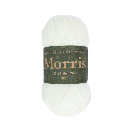 West Yorkshire Spinners Daisy Morris DK 50g