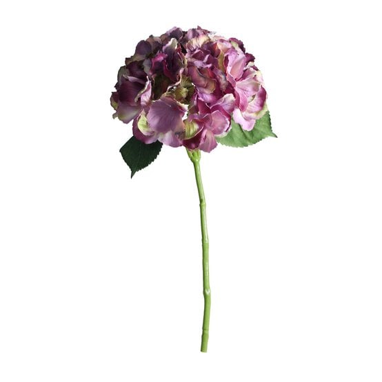 Antique Short Stem Purple Hydrangea 40cm x 17cm