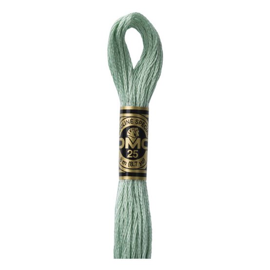 DMC Green Mouline Special 25 Cotton Thread 8m (3817)