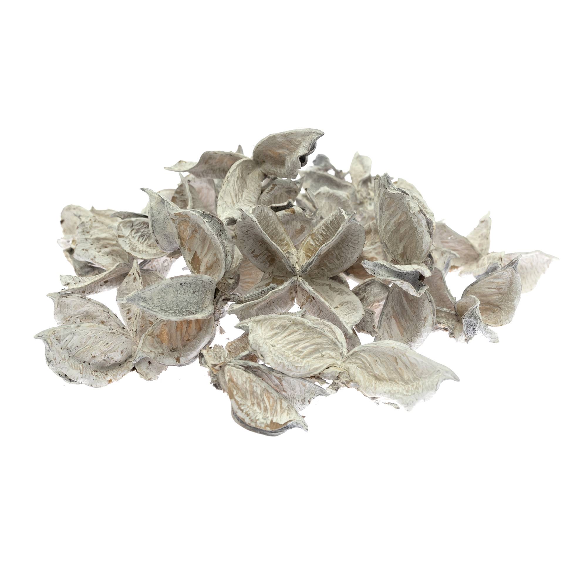 White Cotton Pods 40g